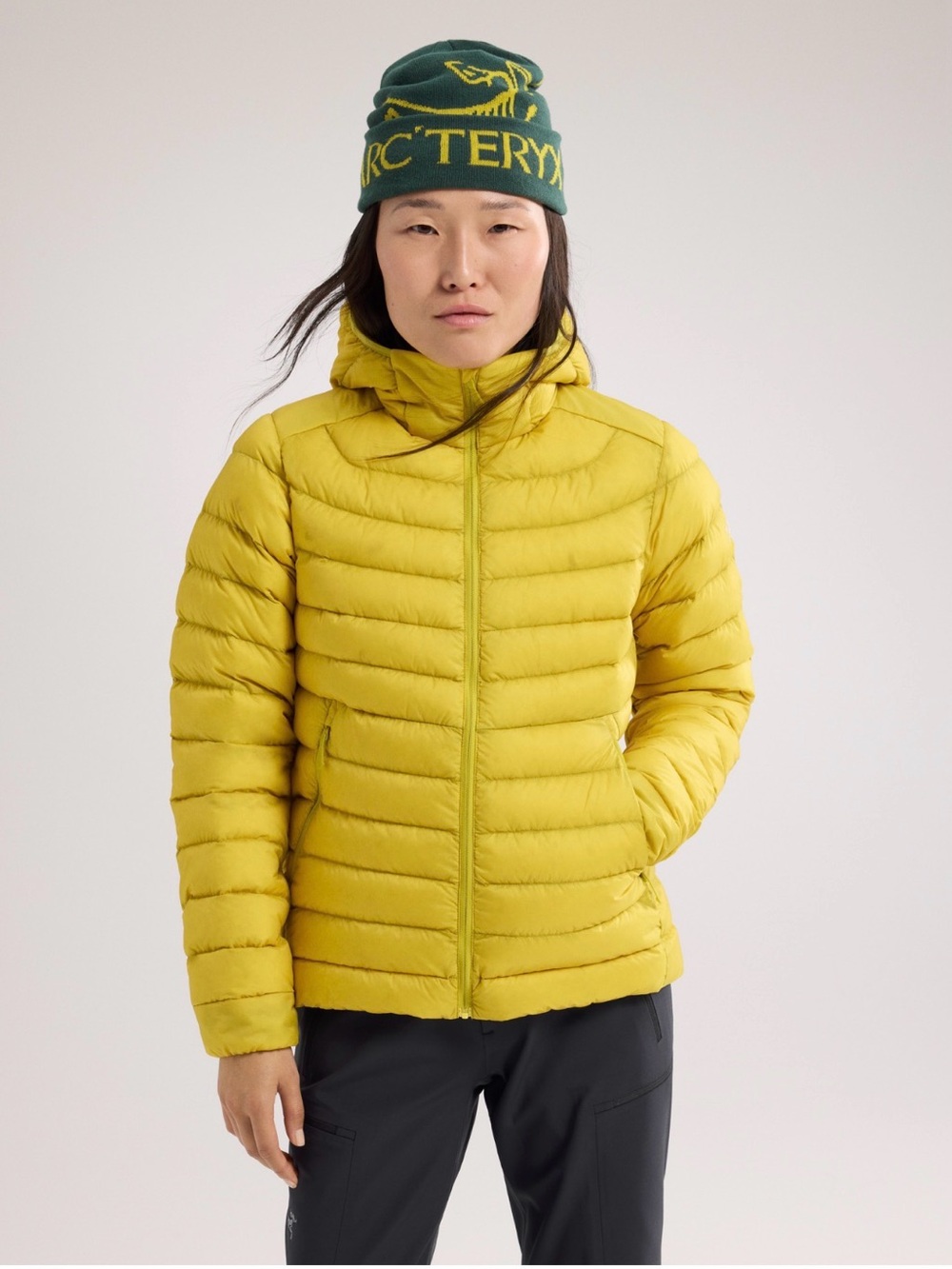 Arc’teryx Cerium Hoody in Lampyre